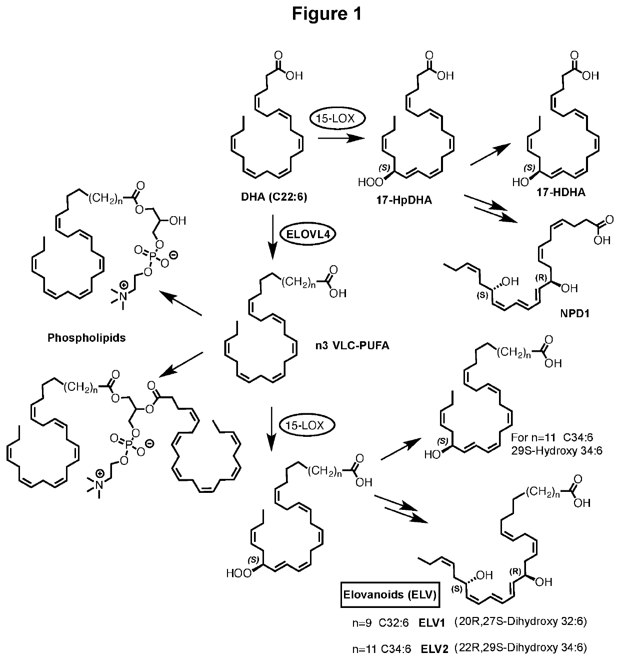 Compounds, compositions, and methods for the treatment of inflammatory, degenerative, and neurodegenerative diseases