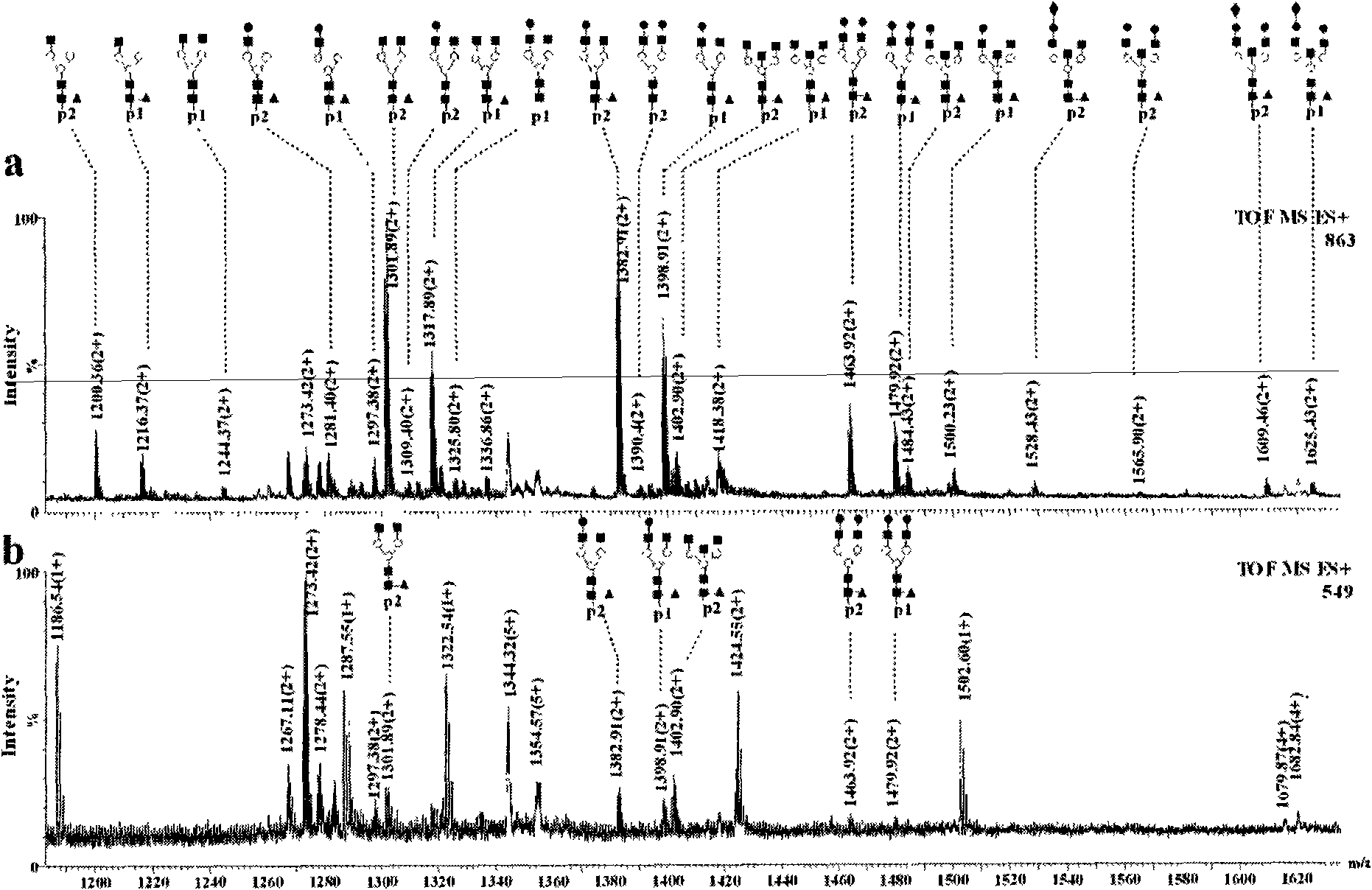 Method for enriching glycopeptide and simultaneously enriching glycopeptide and phosphorylated peptide by using metal oxide