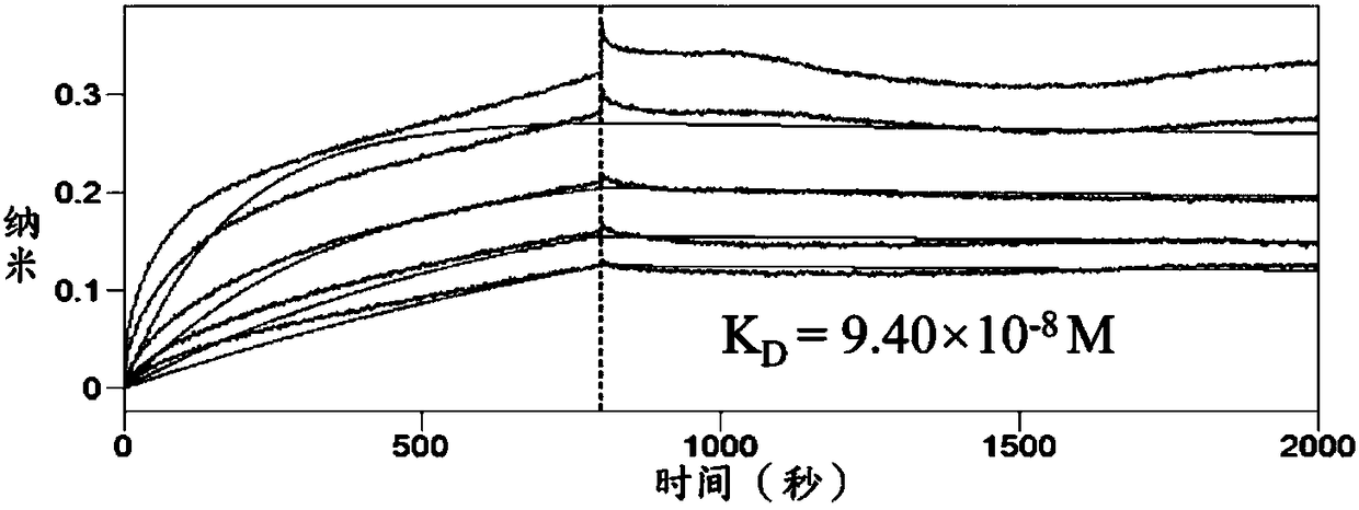 Application of myricetin to preparation of medicine for inhibiting human immunodeficiency virus infection