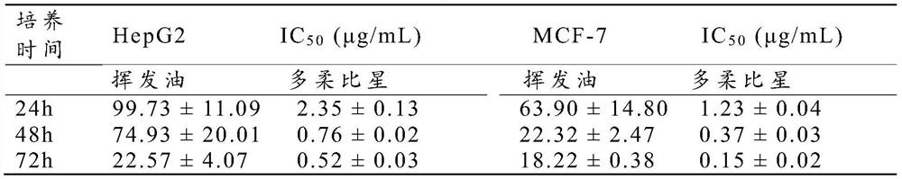 Viola diffusa volatile oil, extraction and purification method thereof and obtained antitumor drug