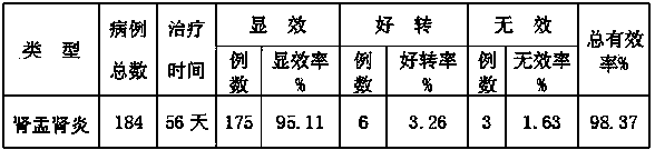 Drug for treating pyelonephritis and preparation method thereof