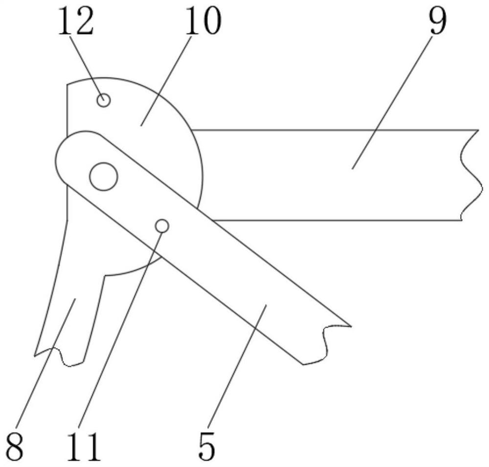 Traction device for medium and large dogs