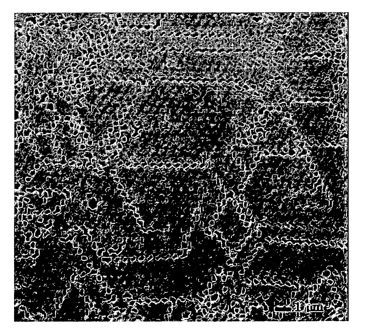 Colloidal photonic crystals using colloidal nanoparticles and method for preparation thereof