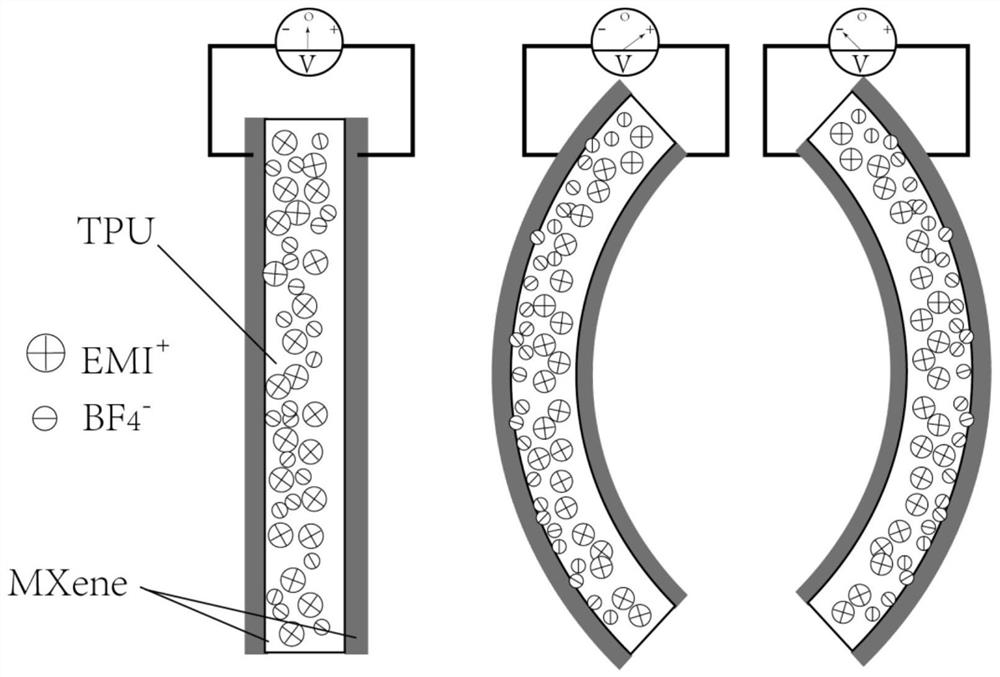 A kind of ion sensor based on mxene electrode and preparation method thereof