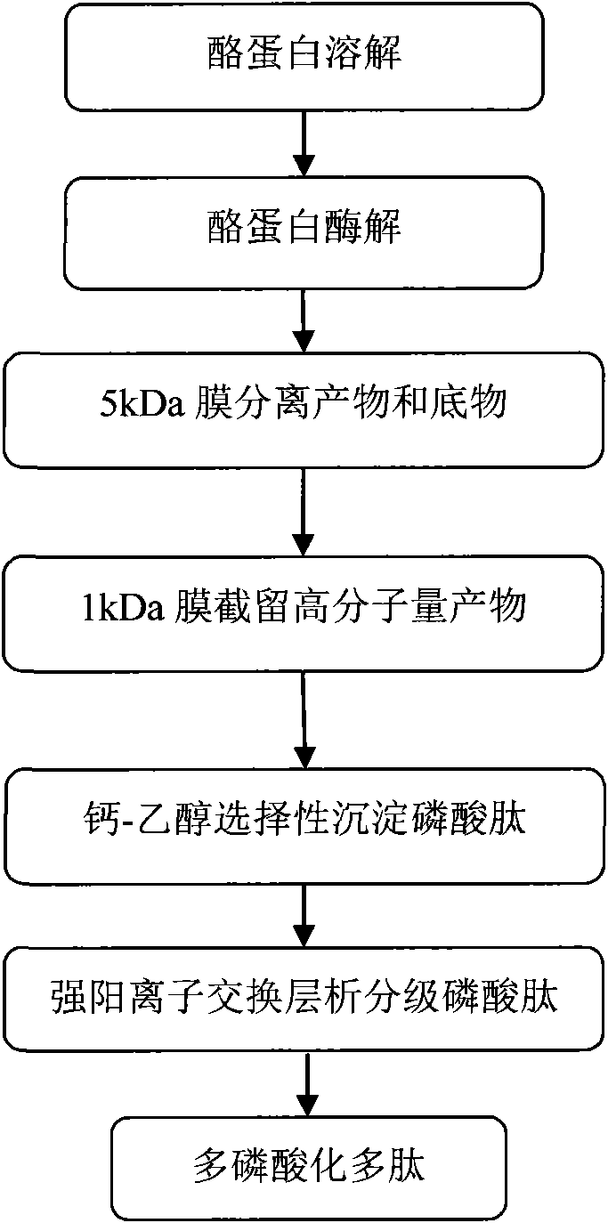 Multi-phosphopeptide-enriched casein hydrolyzate and preparation method thereof