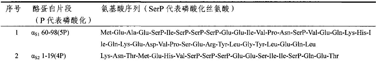 Multi-phosphopeptide-enriched casein hydrolyzate and preparation method thereof