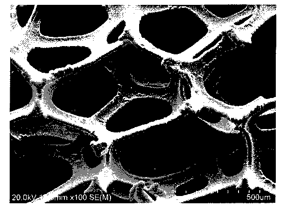 Preparation method of foam electrode for water electrolysis