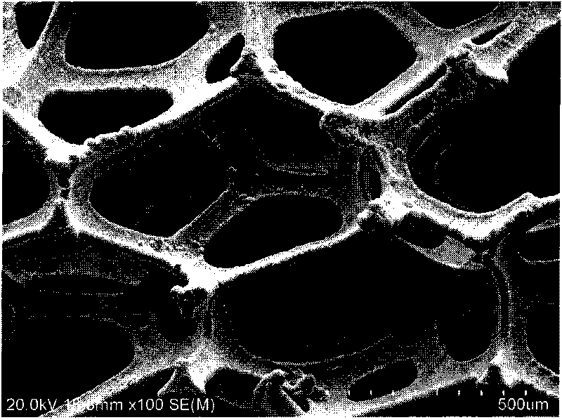 Preparation method of foam electrode for water electrolysis