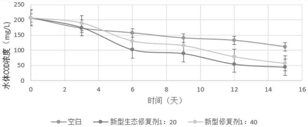 Black and odorous bottom mud repairing agent and application thereof