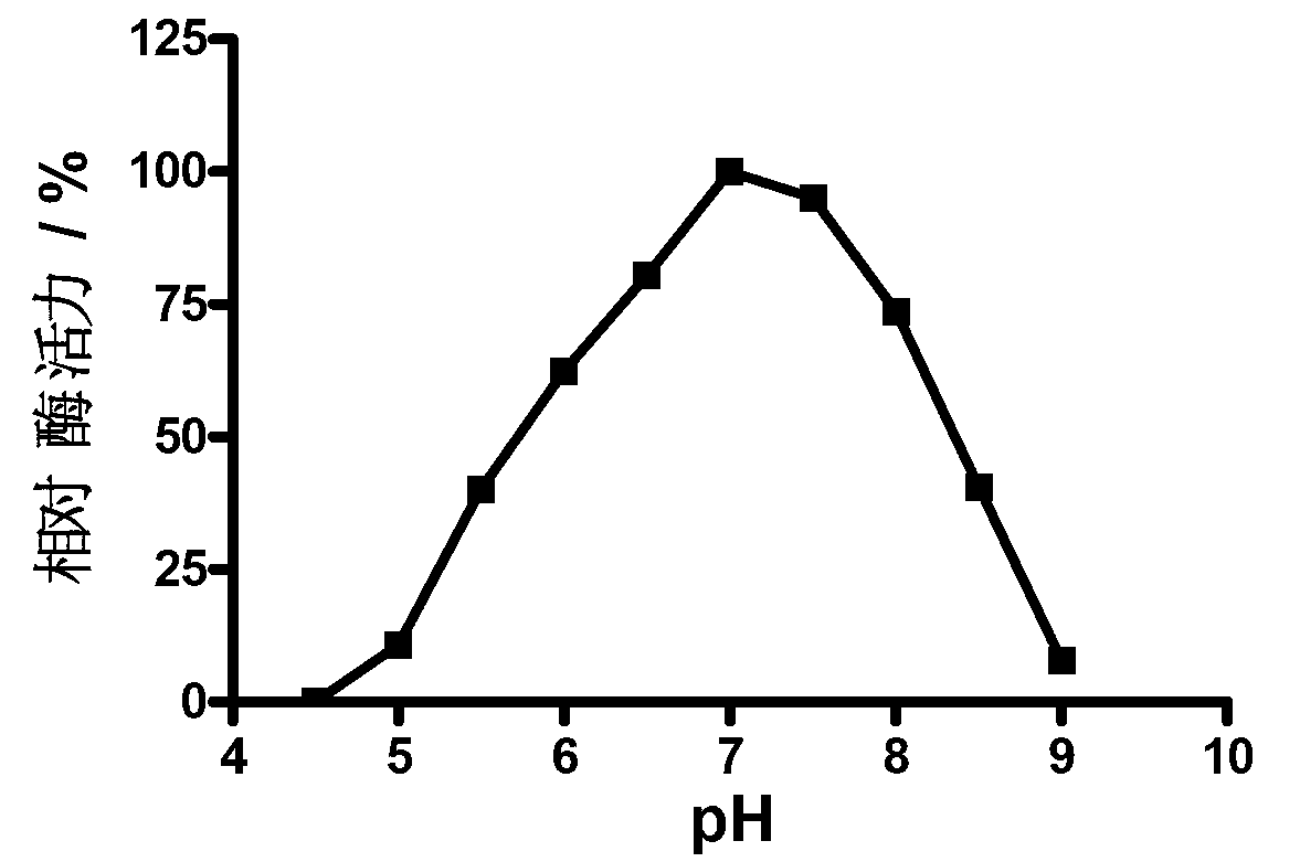 Streptomyces trehalose synthase gene and application thereof