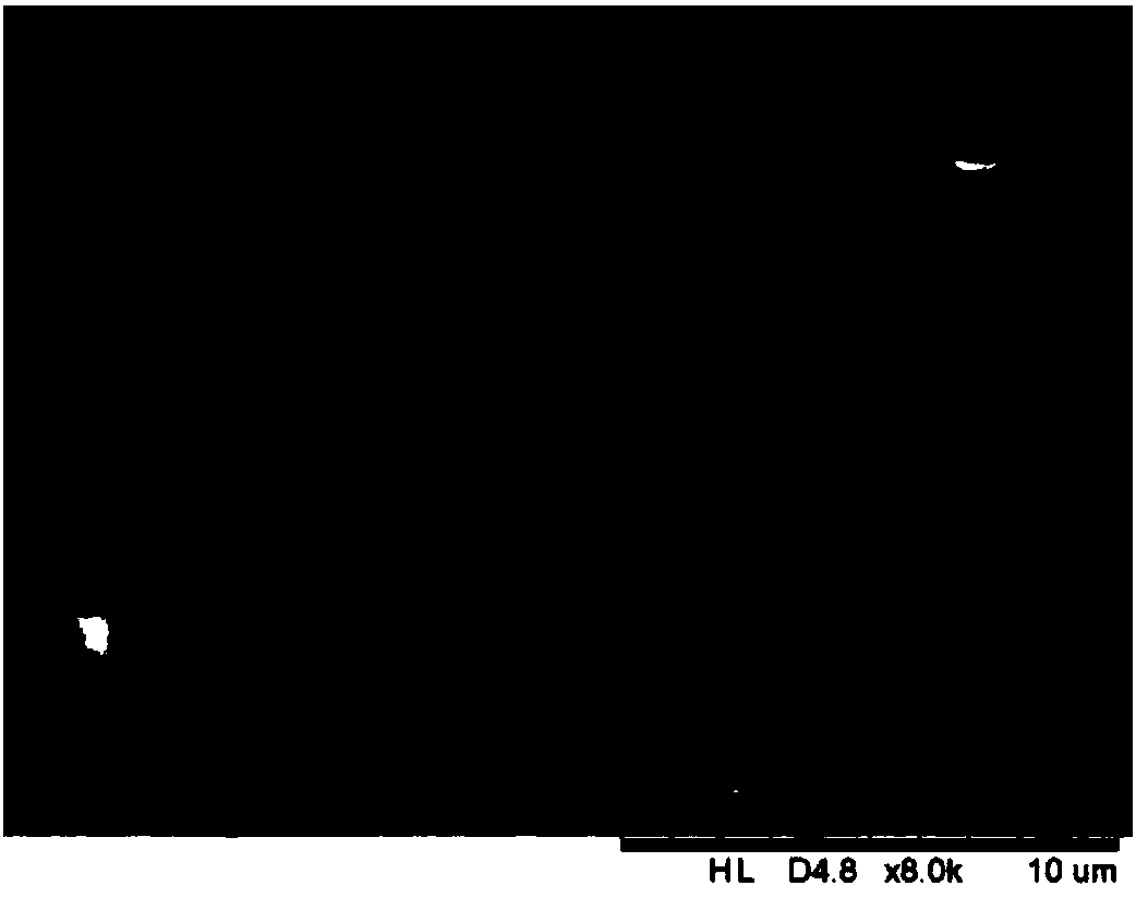 Klebsiella oxytoca and application thereof to promotion of growth of codonopsis