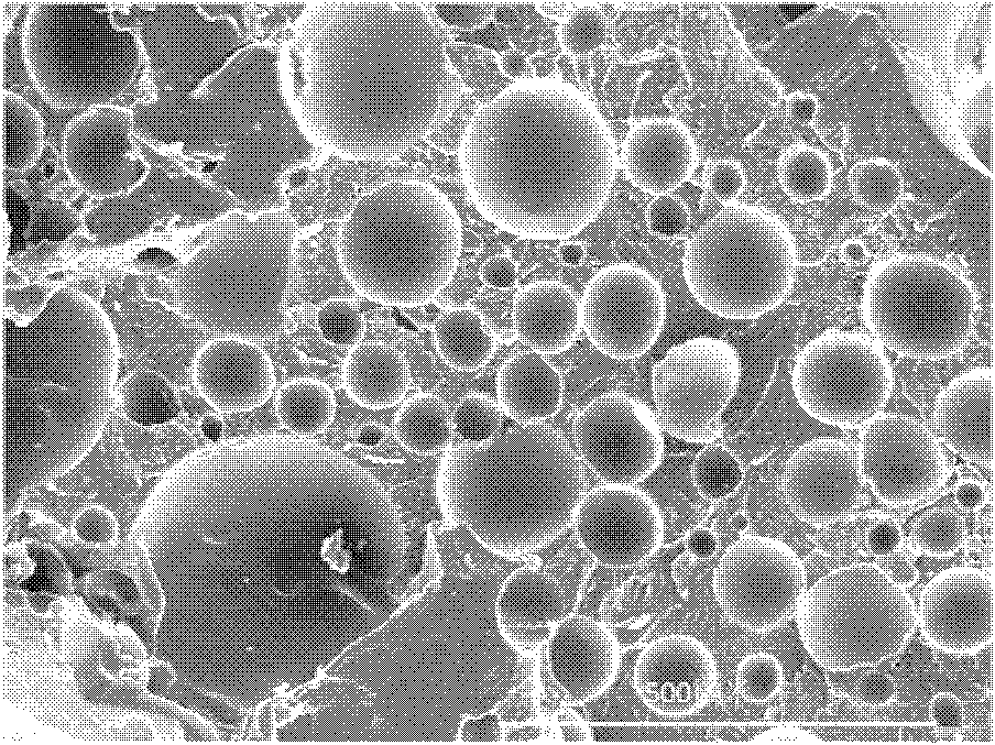 Foaming PET (Polyethylene Terephthalate) sheet and preparation method thereof