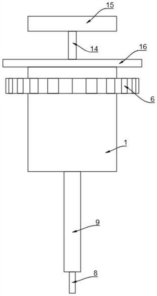 Eustachian tube examination and treatment device