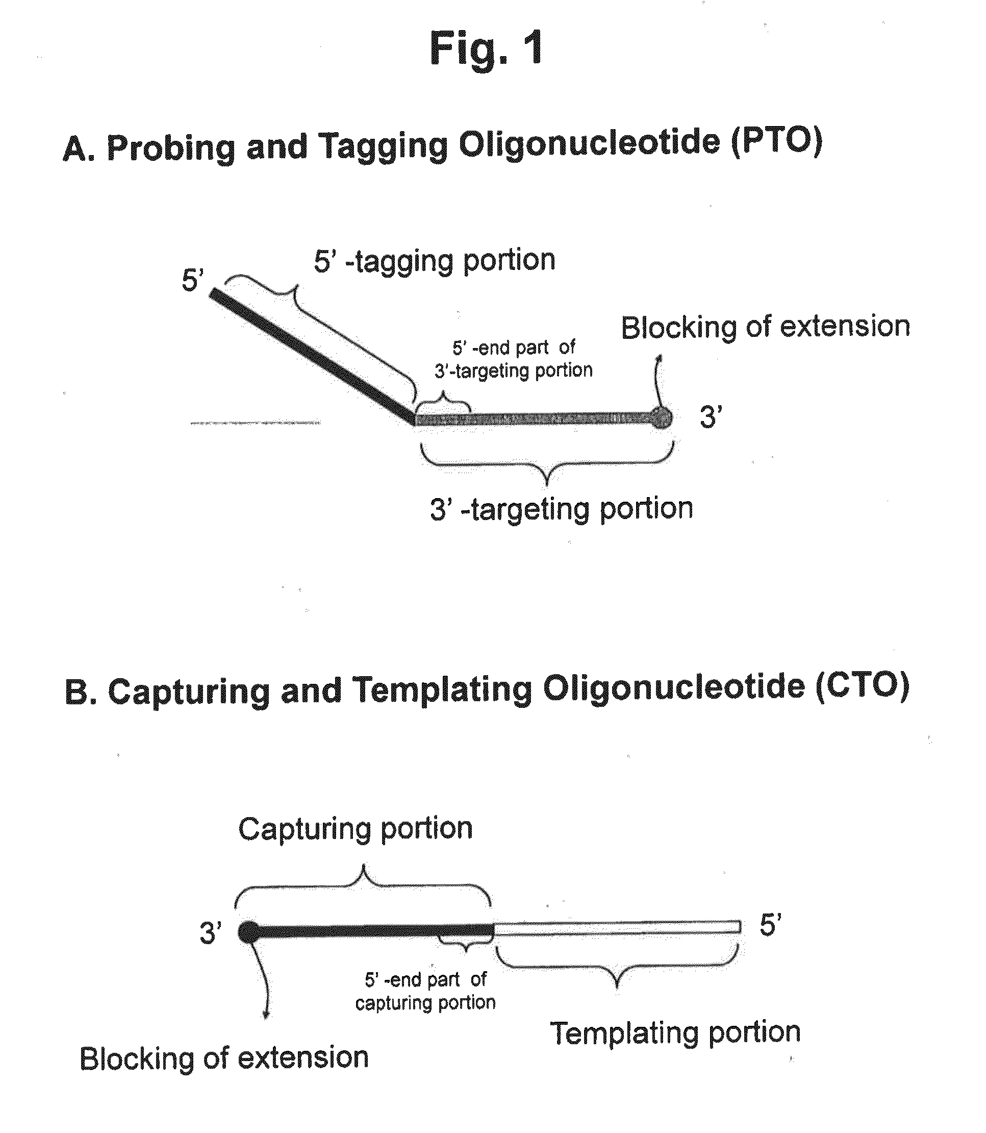 Detection of nucleotide variation on target nucleic acid sequence