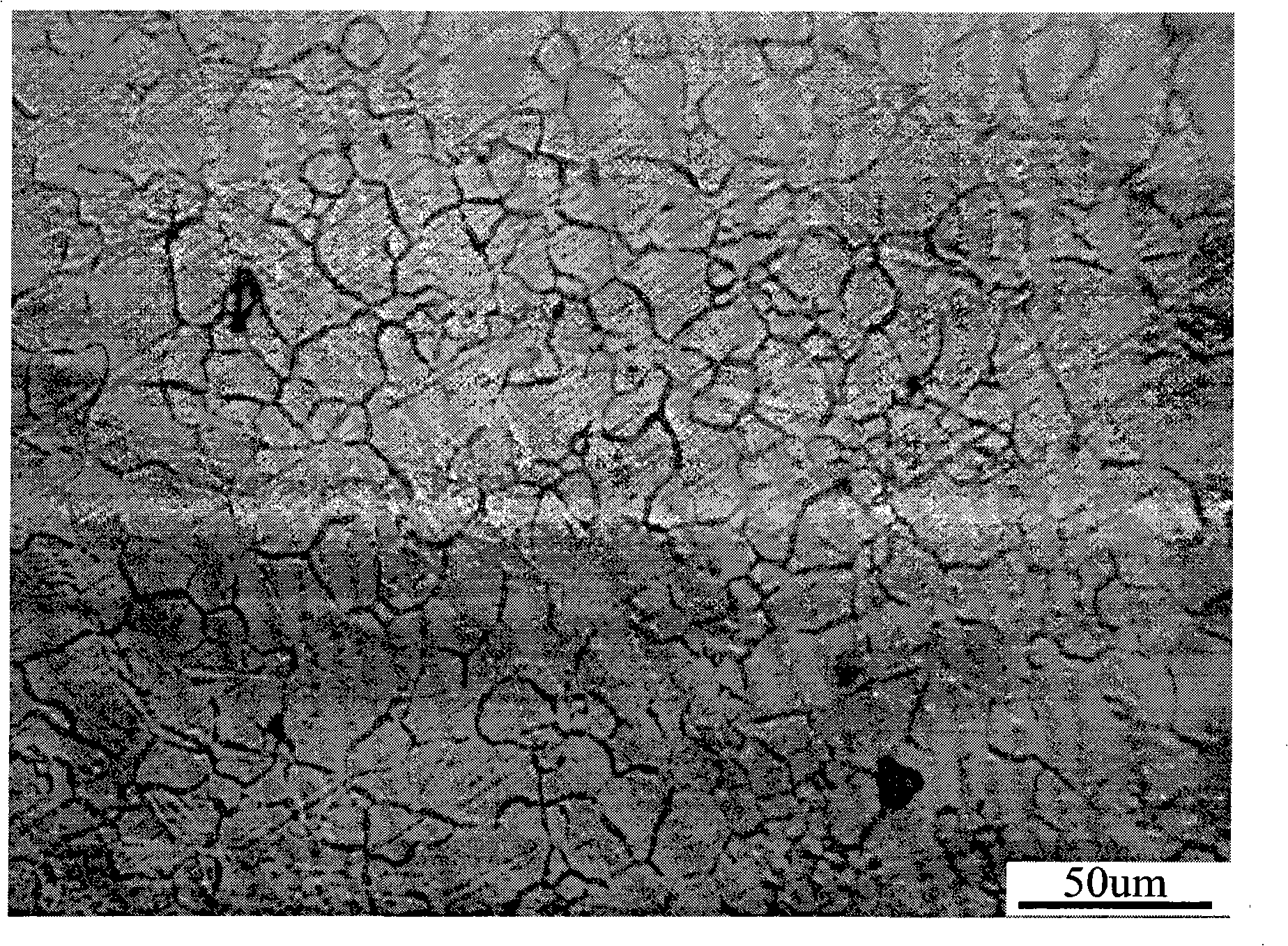 Method for preparing magnesium alloy section bar by continuous corner shearing and squeezing shaping and mold