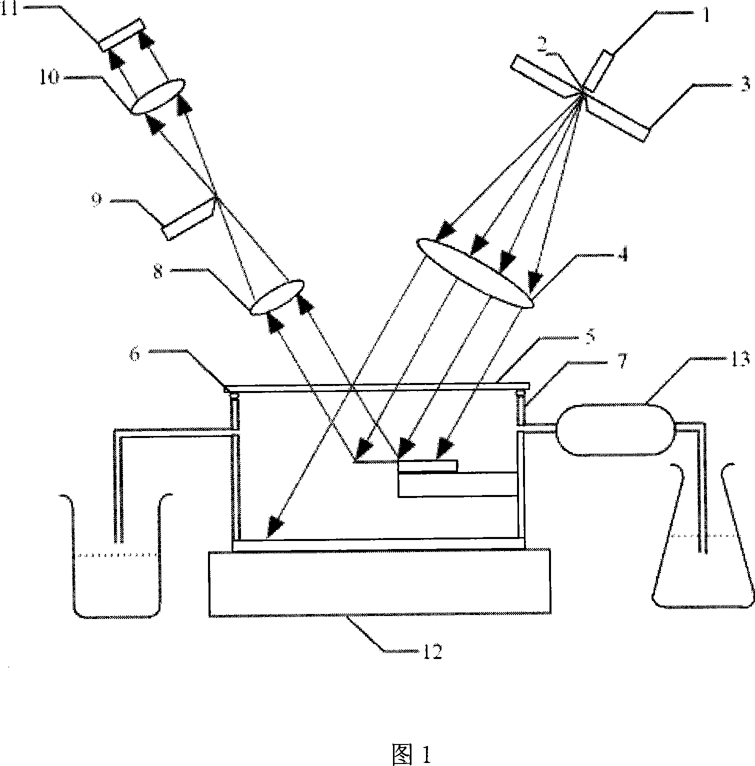 Monitoring molecule conformation transition and biochemical reaction method and device thereof