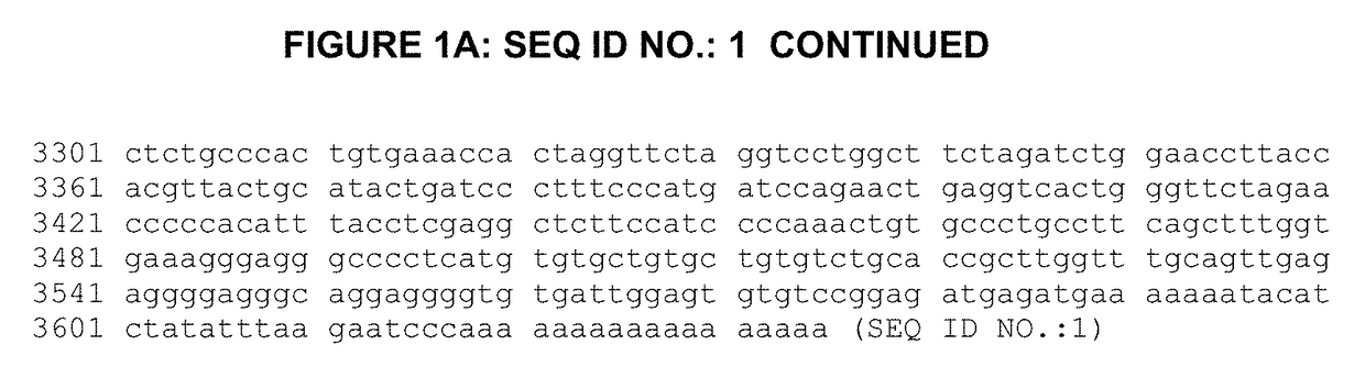 Inhibiting or downregulating glycogen synthase by creating premature stop codons using antisense oligonucleotides