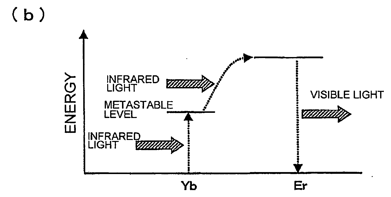 Solar Cell Panel