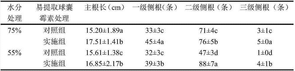 Method for improving drought resistance of citruses