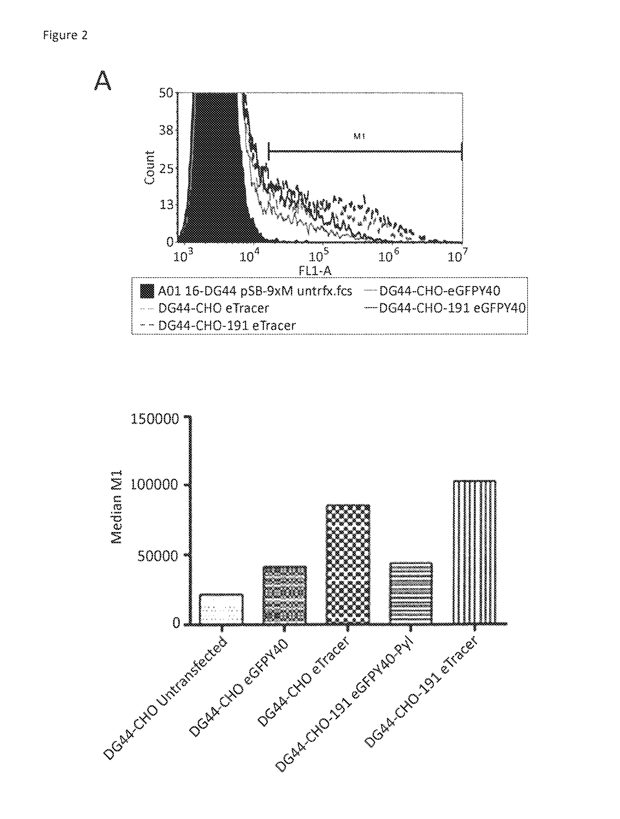 Cell lines