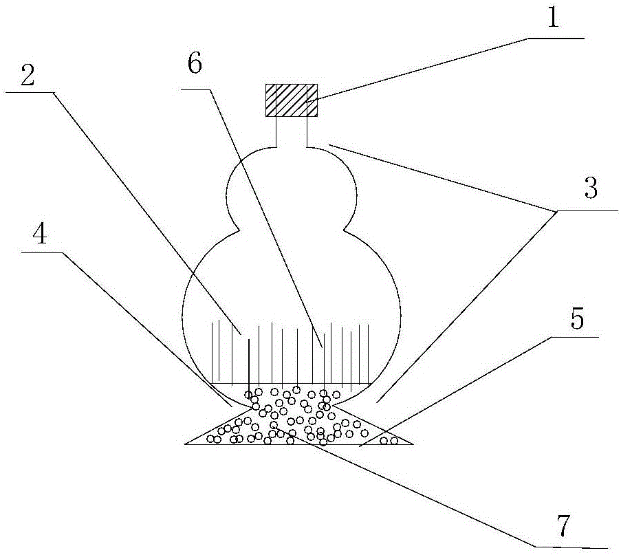 A production method of Cordyceps wine that can visualize the natural growth state of Cordyceps militaris