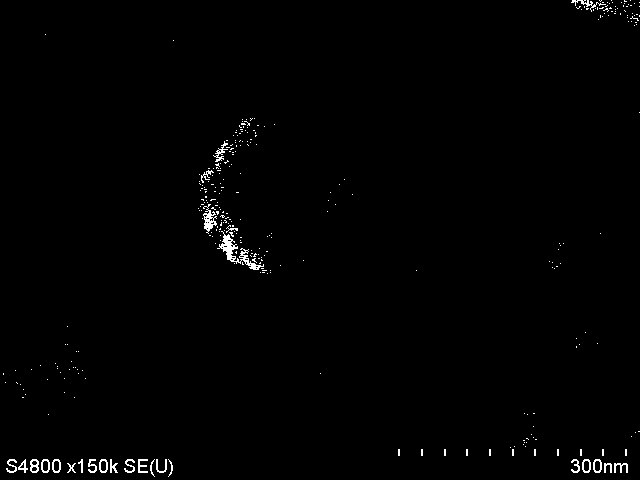 Preparation method of mesoporous silica nanosphere having dendrimer-like open-framework structure