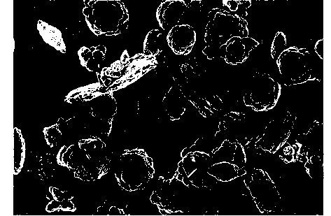 Method for removing high concentration phosphor pollution in alkali wastewater