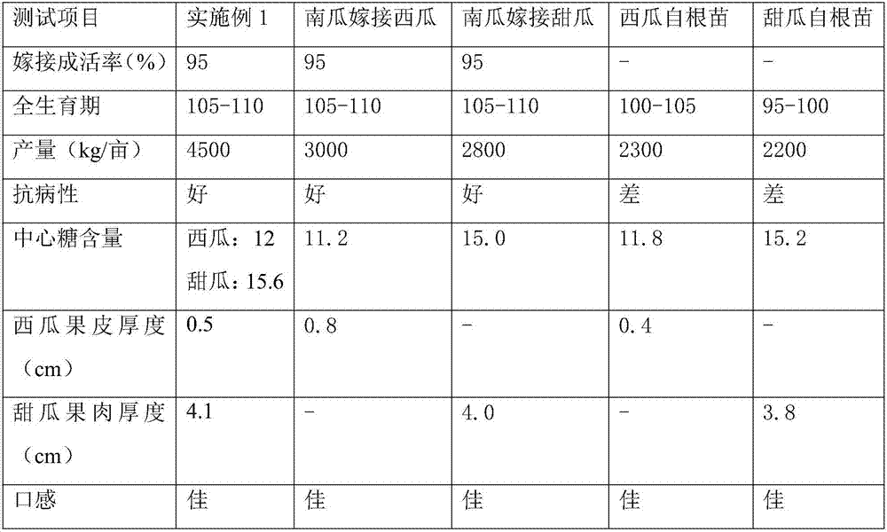 Method for grafting melons and fruits