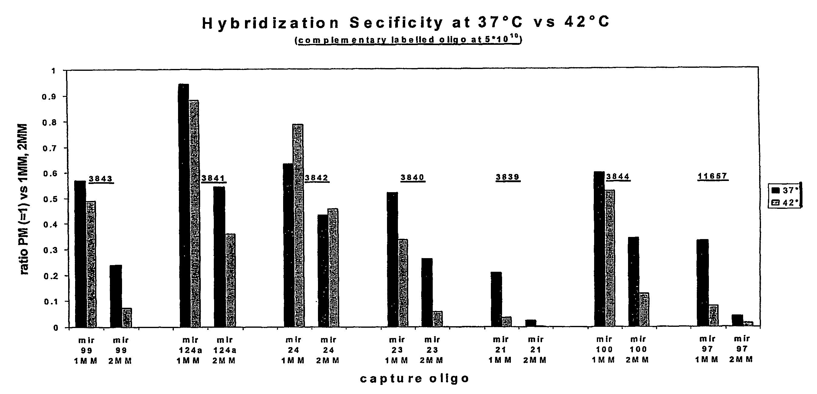 Oligonucleotide Microarray