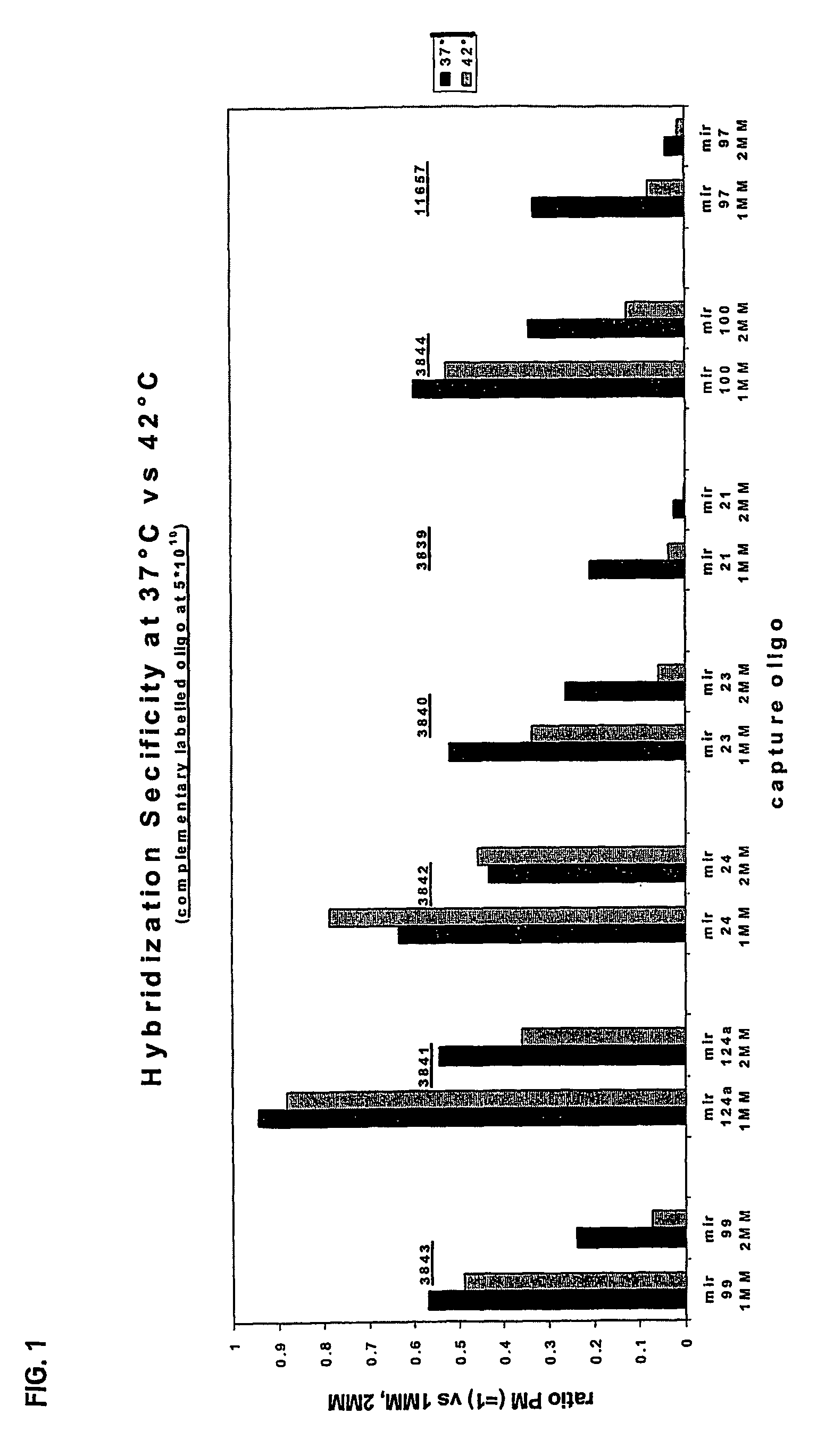 Oligonucleotide Microarray