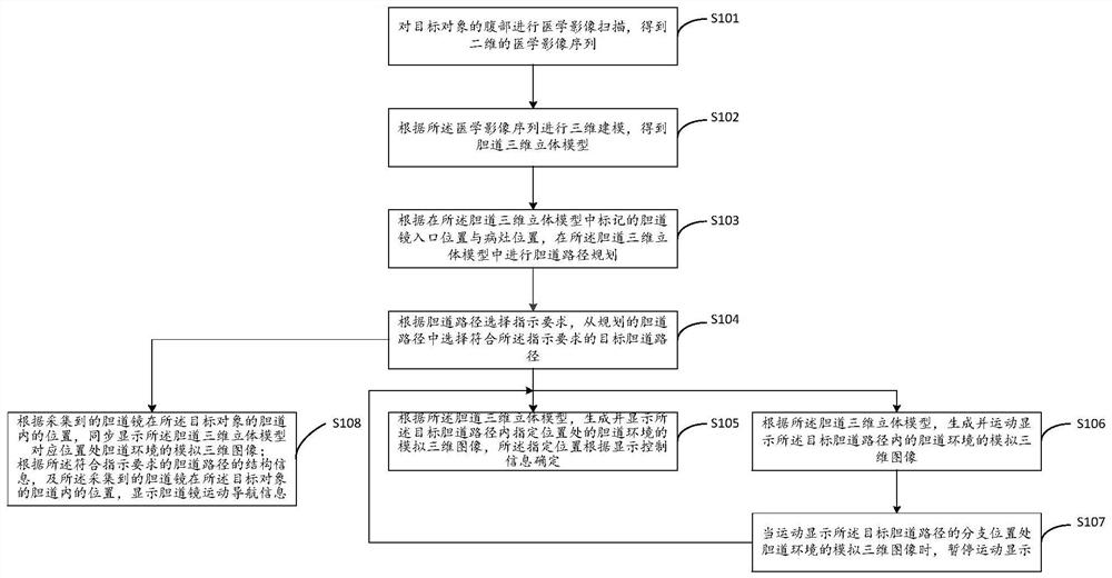 Virtual choledochoscope interventional operation planning method, device and apparatus and storage medium