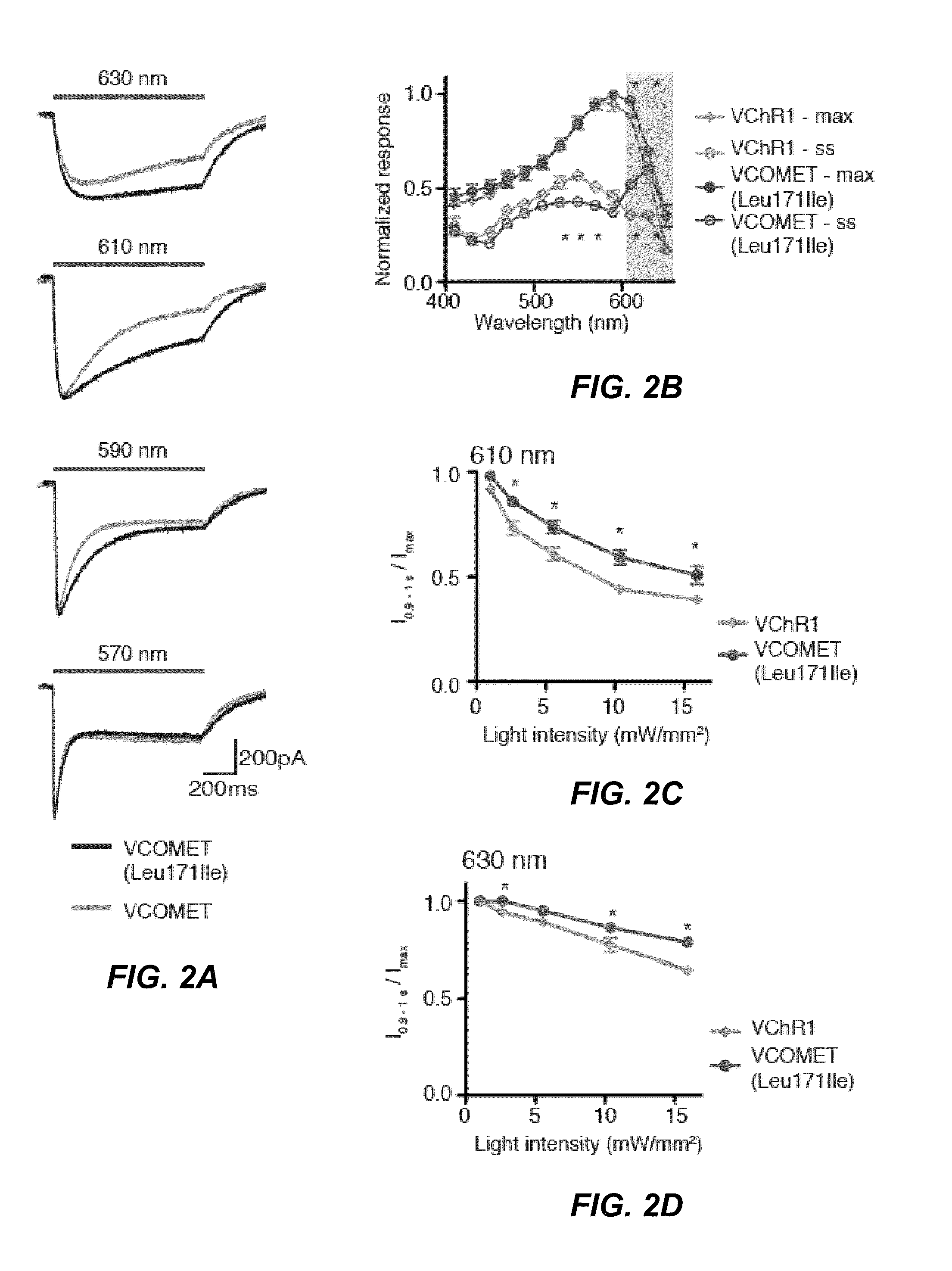 Engineered red-shifted channelrhodopsin variants