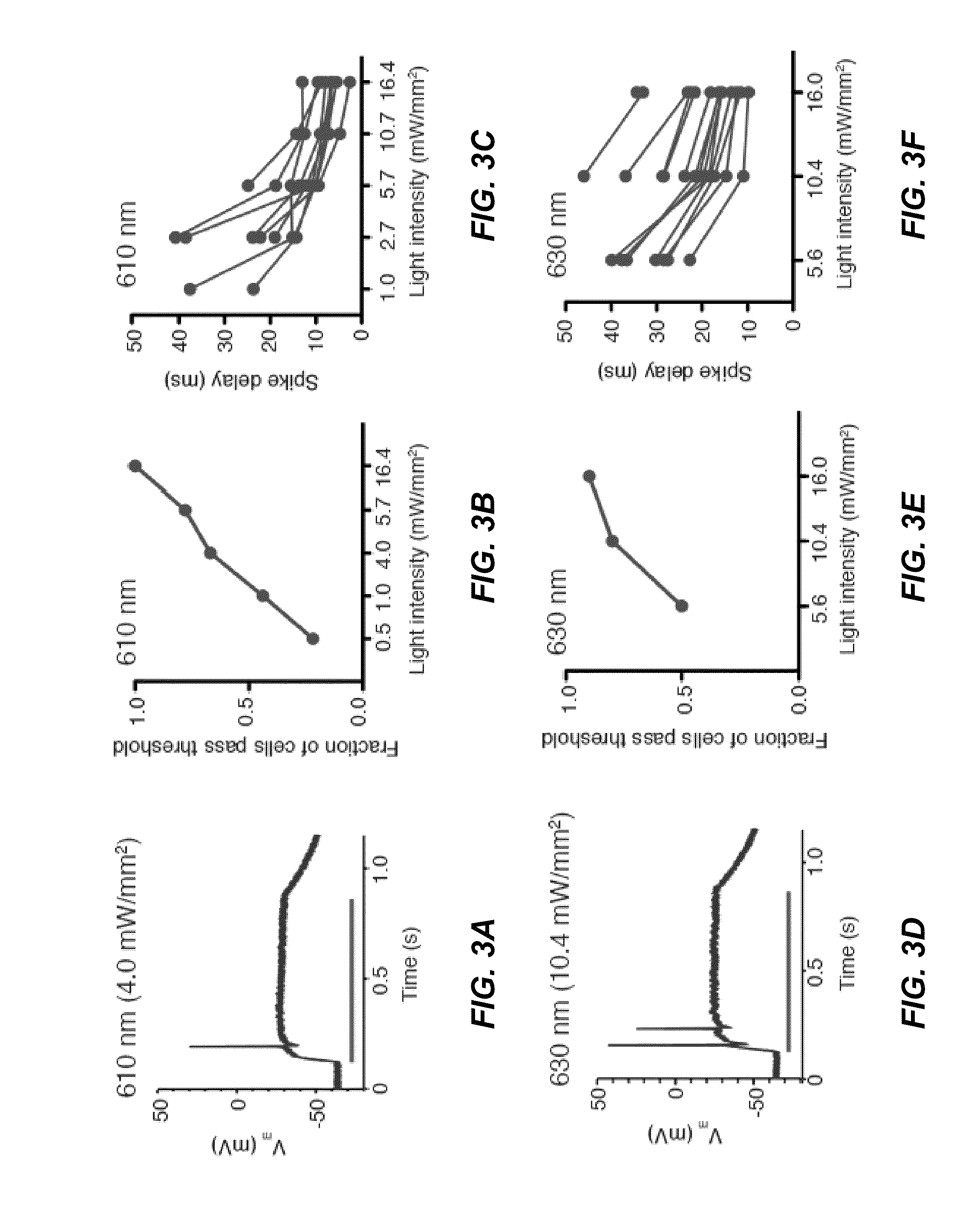 Engineered red-shifted channelrhodopsin variants