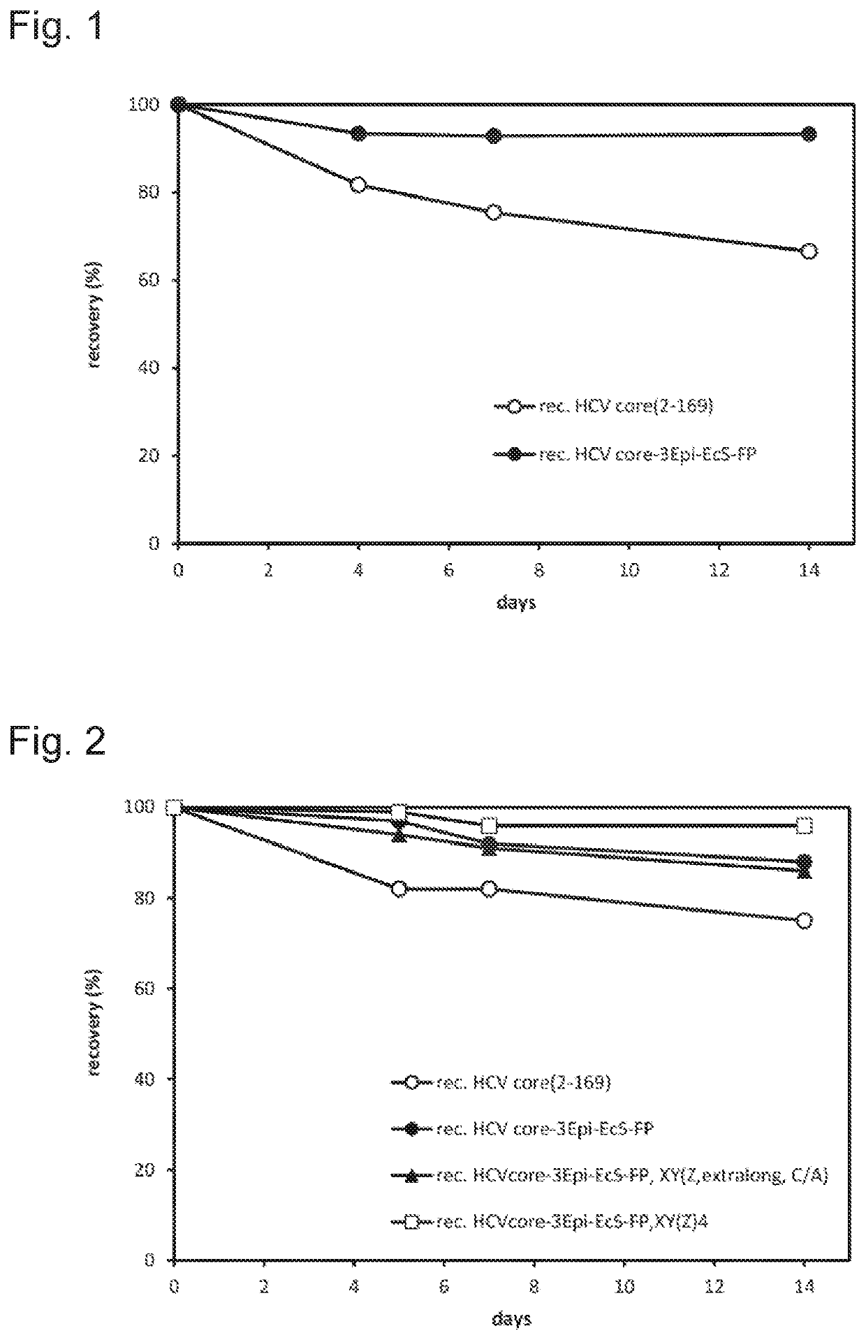 Multi-epitope fusion protein of an HCV antigen and uses thereof