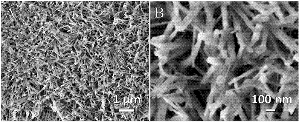 Method for preparing fixed-point replaced amorphous nanowire array with Si