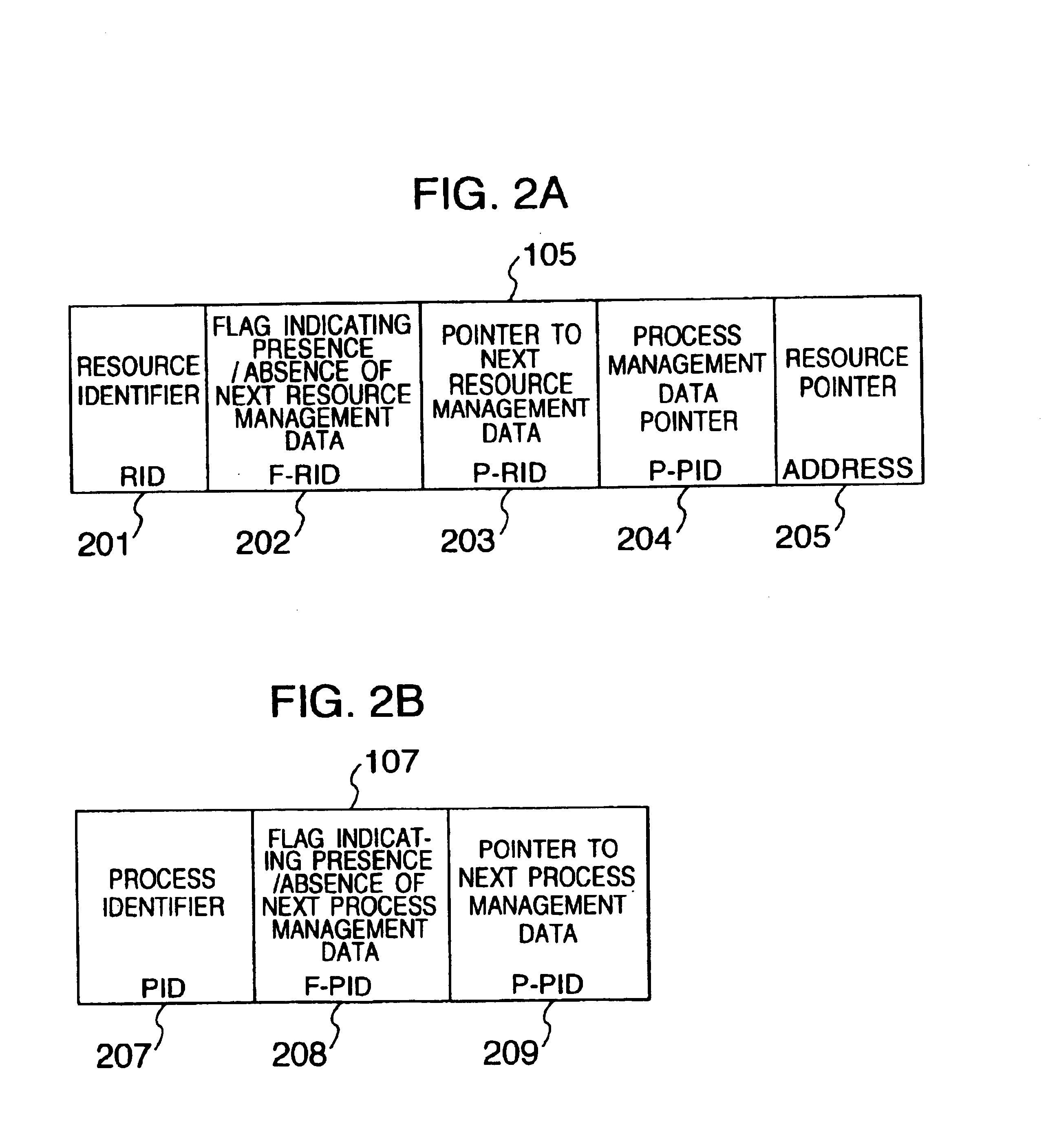 Process executing method and resource accessing method in computer system