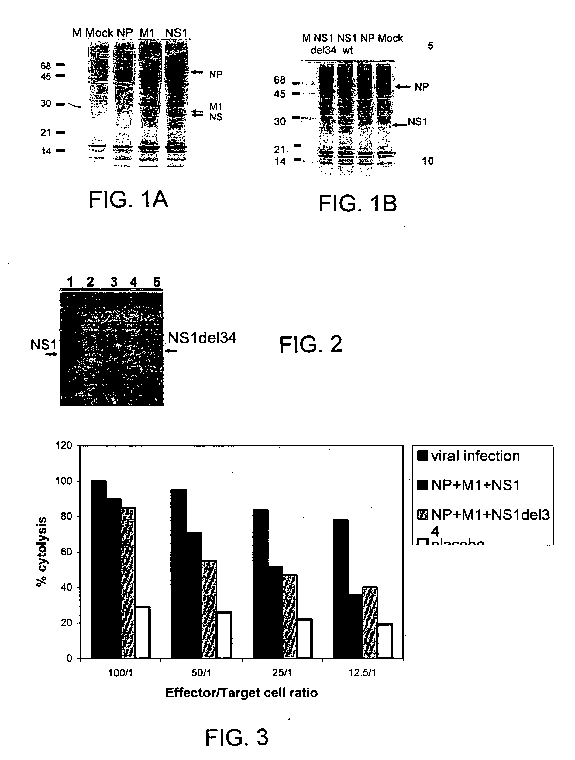 Influenza vaccine compositions and methods