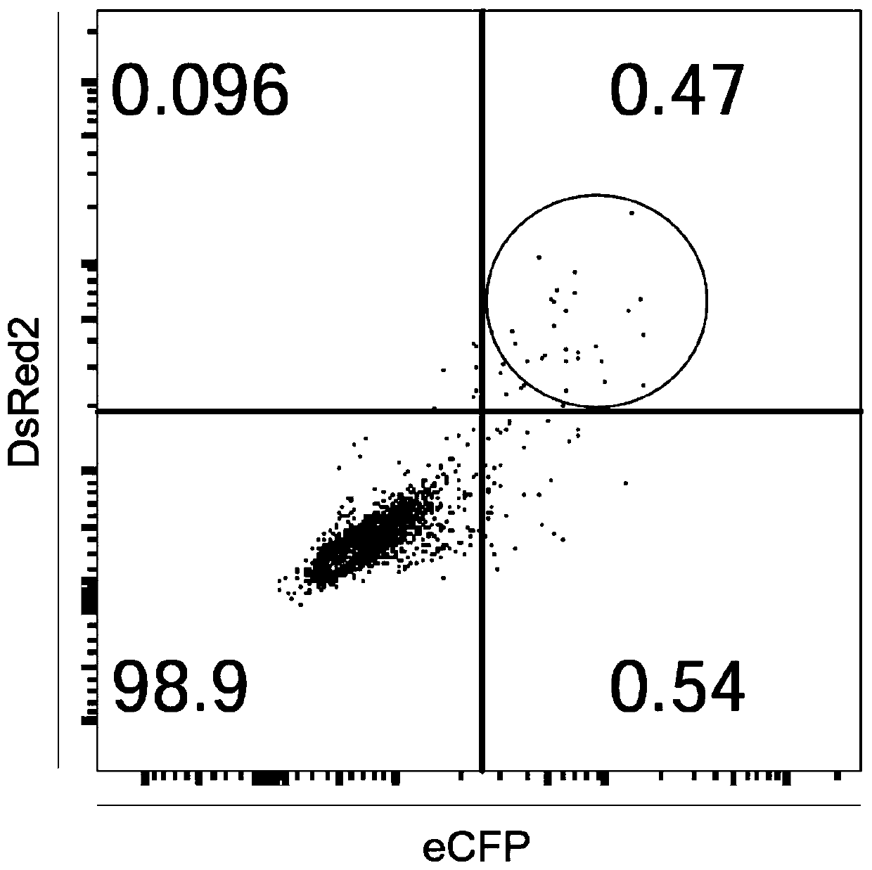 A Gene Knockout Method for Rapidly Acquiring Large Deletions in Cell Lines Using the CRISPR/Cas9 System