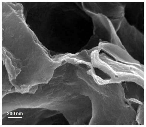 A long cycle life lithium-sulfur battery cathode material, cathode and its preparation and application