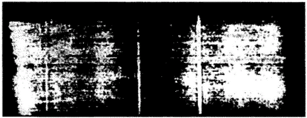 Aqueous pigment composition and pigment ink