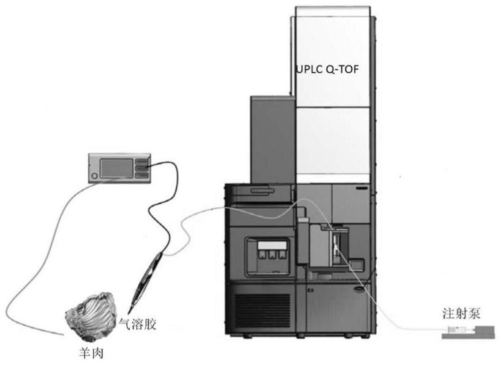 Detection method applied to origin tracing based on IKnife-REIMS technology