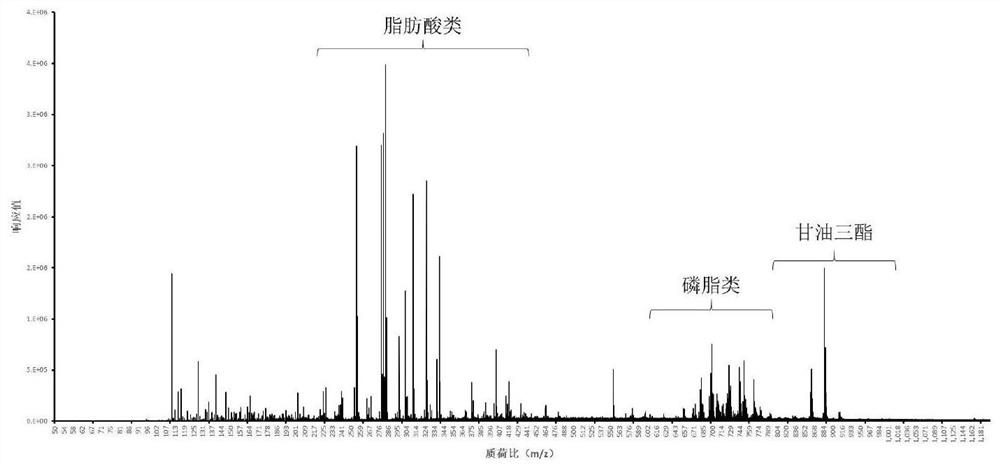 Detection method applied to origin tracing based on IKnife-REIMS technology