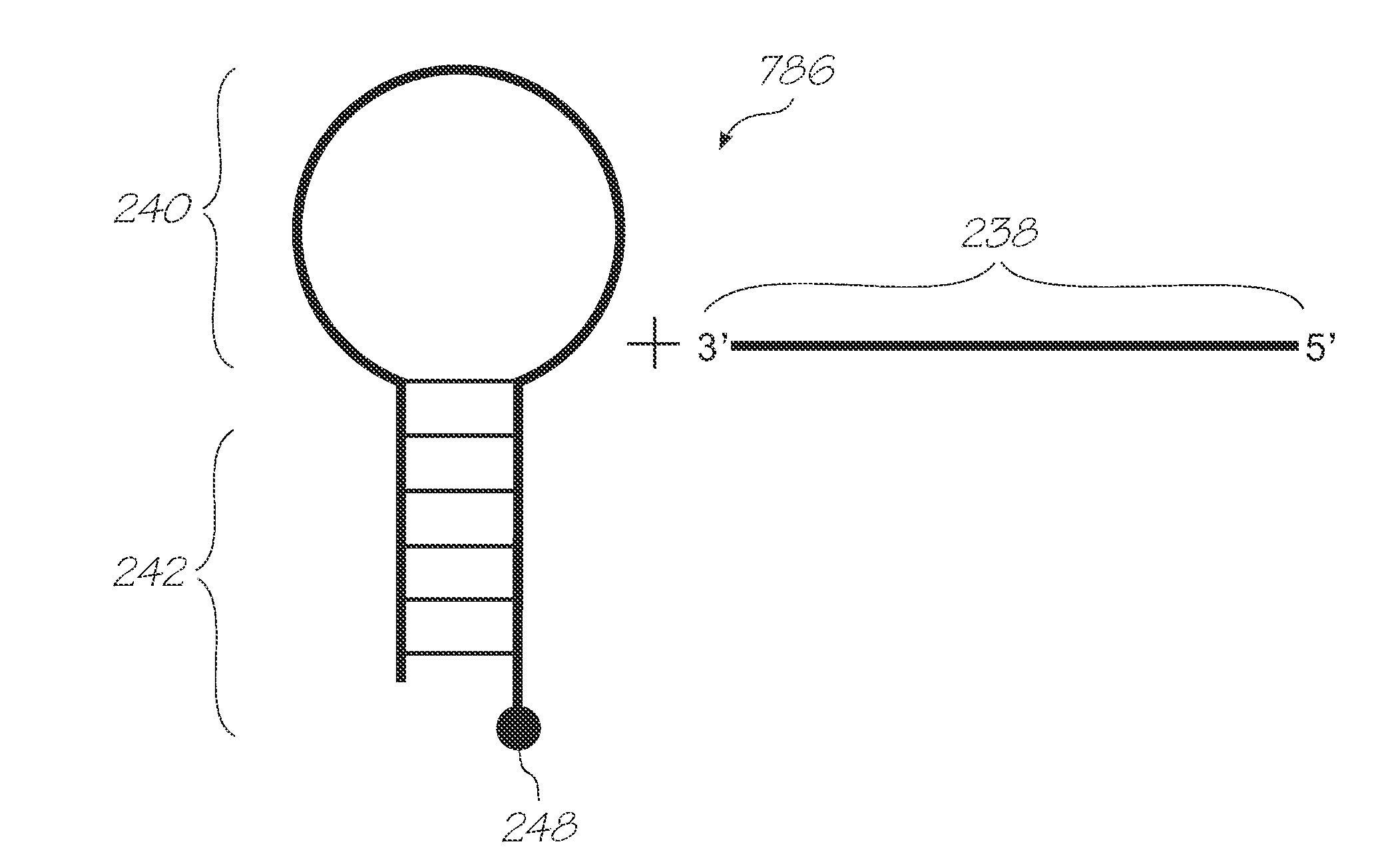 Microfluidic device with non-imaging optics for electrochemiluminescent detection of targets