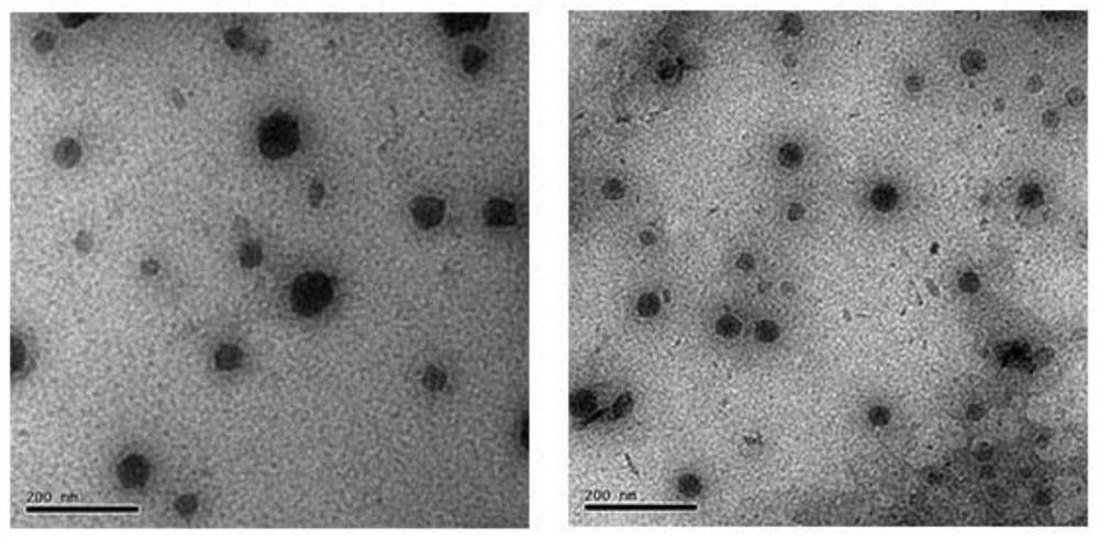 A kind of microemulsion that delays the oxidation of feed oil and its preparation method