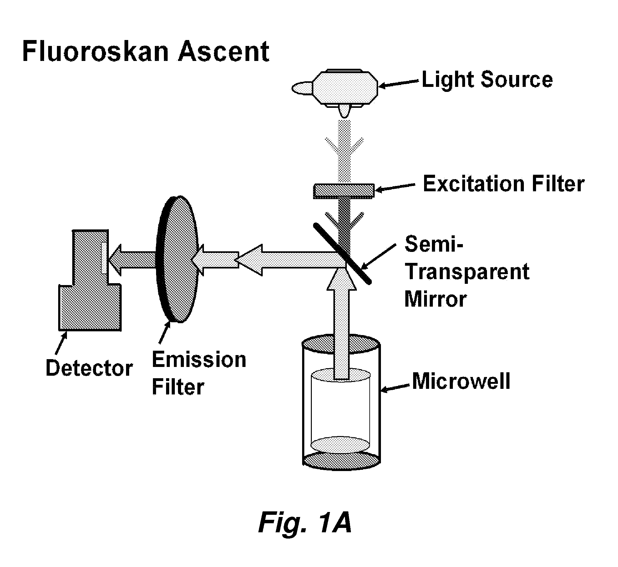 Automated method for high throughtout screening of nematodes