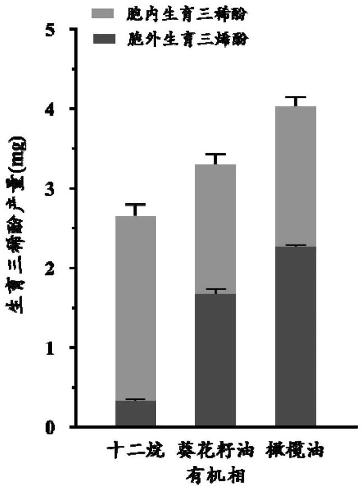 Genetically engineered bacterium for exocytosis of tocotrienols and application of genetically engineered bacterium