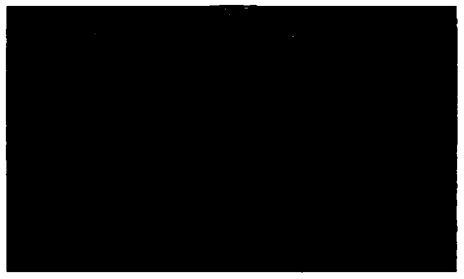 Culture medium for Langerhans precursor cells