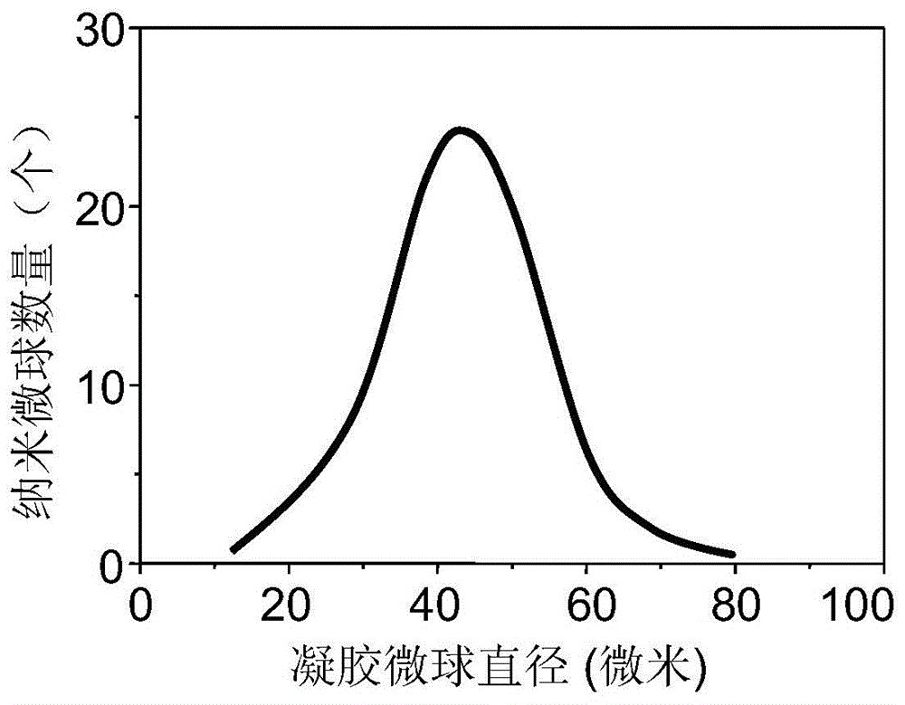 Preparation method of copper-free click crosslinking polysaccharide microspheres