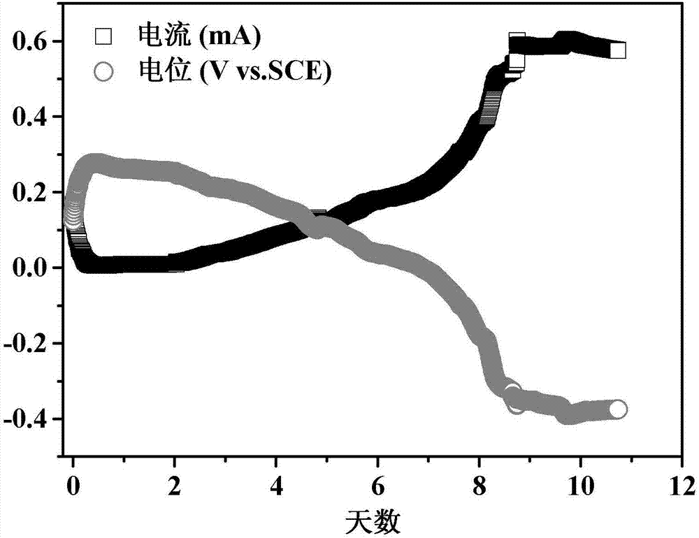 Preparation of graphene polyaniline modified carbon cloth electrode material, and method for accelerating acclimation of bio-anode