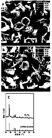 A kind of preparation method of metal telluride flower-like micro-nano structure